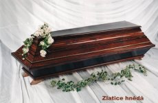 Zlatice hnědá