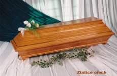 Zlatice světlá